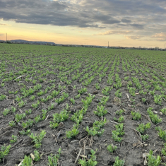 escrime_borso_2025_04_02_1500x1125_2